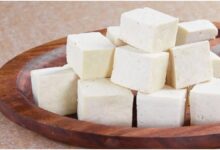 Paneer For Health: जानें किन लोगों को पनीर खाने से बचना चाहिए, यह सेहत के लिए खतरनाक हो सकता है