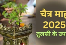 Chaitra Month 2025: चैत्र माह में तुलसी का इस्तेमाल करने से आपका घर धन और खुशी से भर जाएगा!