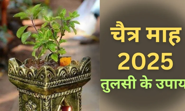 Chaitra Month 2025: चैत्र माह में तुलसी का इस्तेमाल करने से आपका घर धन और खुशी से भर जाएगा!