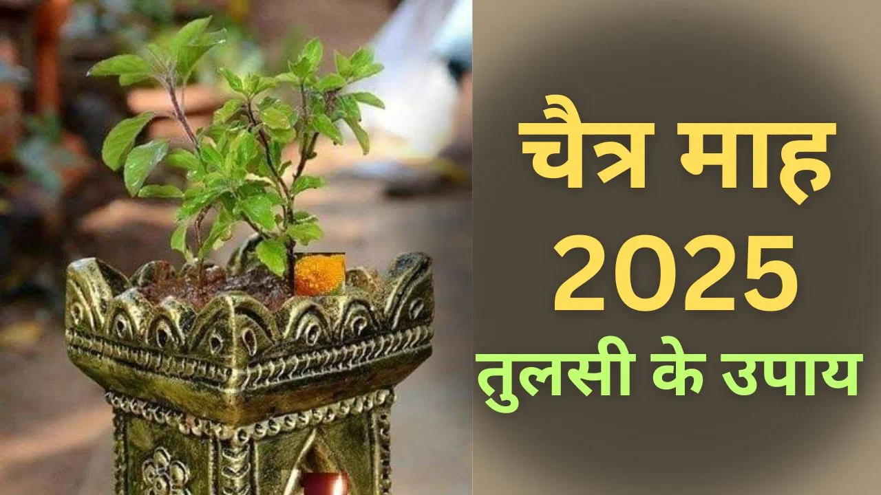 Chaitra Month 2025: चैत्र माह में तुलसी का इस्तेमाल करने से आपका घर धन और खुशी से भर जाएगा!