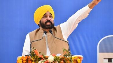 CM Bhagwant Mann: बाजवा और उनके पाकिस्तानी दोस्त बम थ्योरी के जरिए राज्य की शांति और प्रगति को बाधित करना चाहते हैं