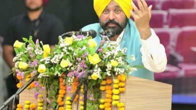 CM Bhagwant Mann: बाजवा बम थ्योरी से लोगों को डरा रहे हैं, किसी अप्रिय घटना का इंतजार कर रहे हैं