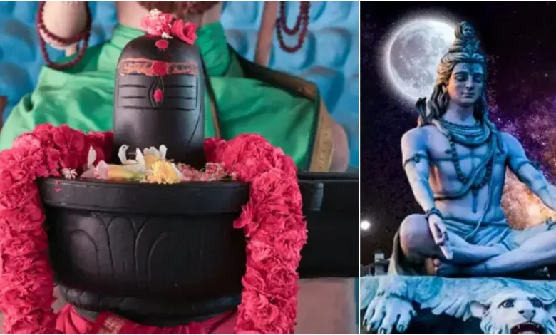 Shiv Puja: ये छह चीजें शिवलिंग पर भूल से भी नहीं चढ़ाएं, वरना हो जाएंगे भोलेनाथ अप्रसन्न!