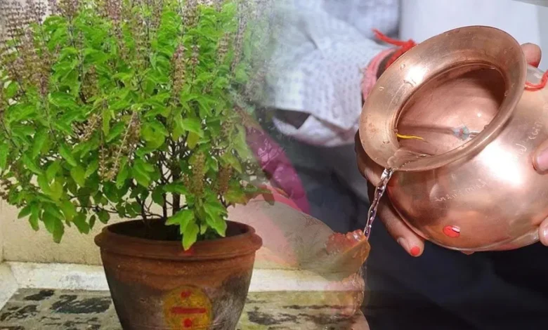 Chaitra Purnima 2025 Tulsi Puja Niyam: चैत्र पूर्णिमा पर तुलसी पूजन करते समय ये गलतियाँ न करें, वरना आप कंगाल हो जाएंगे!