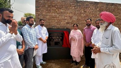Dr. Baljit Kaur ने लगभग 4.80 करोड़ रुपये की लागत से सिंचाई चैनलों के कंक्रीटीकरण का उद्घाटन किया