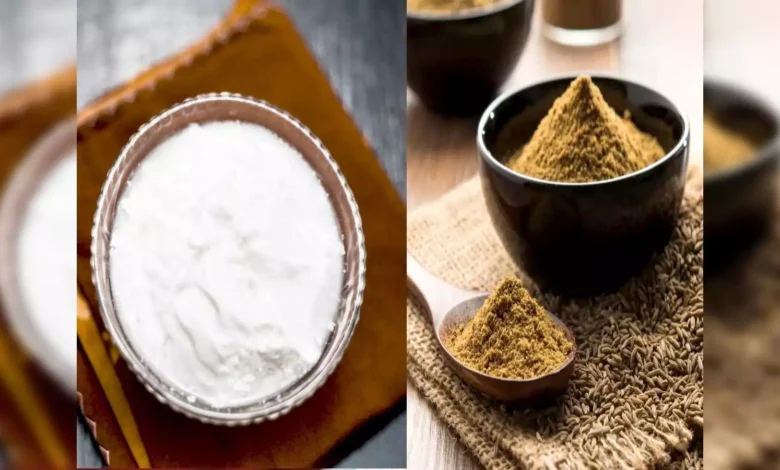 Curd With Jeera Benefits: गर्मियों में गड़बड़ रहता है पेट तो इस चीज को दही के साथ खाएं
