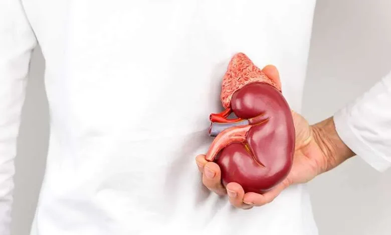 Unhealthy Habits For Kidney: आपकी ये आदतें आपके किडनी को नुकसान पहुंचा सकती हैं; सुधार लें नहीं तो आपके गुर्दे खराब हो जाएंगे