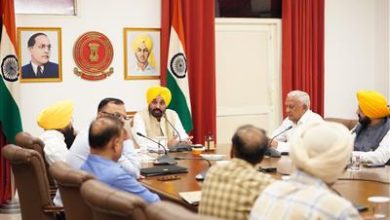 CM Bhagwant Mann: पीएसआईईसी के रद्द किए गए भूखंडों के लिए अपीलीय प्राधिकरण गठित करने की सहमति दी
