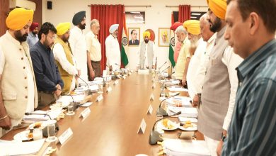 CM Bhagwant Mann के नेतृत्व वाली कैबिनेट ने पहलगाम हमले के शहीदों को श्रद्धांजलि दी