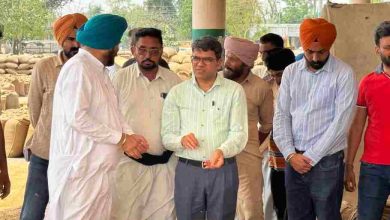 Punjab News: पंजाब मंडी बोर्ड के सचिव रामवीर ने संगरूर जिले की विभिन्न अनाज मंडियों का औचक दौरा किया