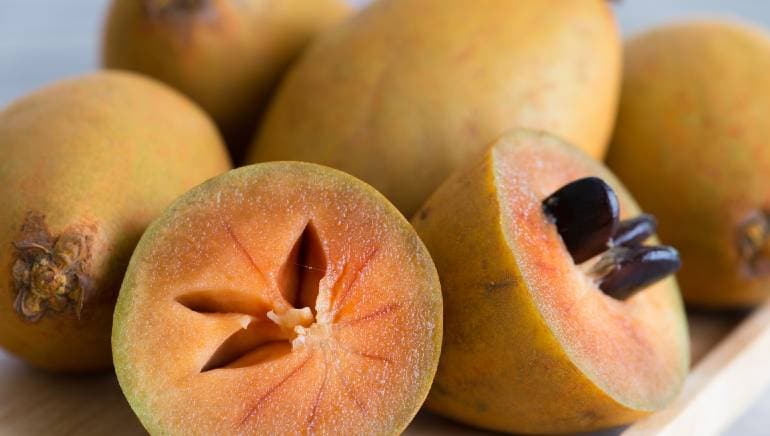 Chiku Fruit For Health: चीकू बहुत पोषक तत्वों से भरपूर है, लेकिन क्या डायबिटीज के मरीजों को इसे खाना चाहिए? एक्सपर्ट क्या कहते हैं? जानें