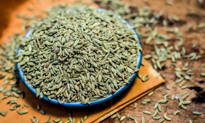 Saunf Health Benefits: ये मसाला गर्मियों में भूख और एसिडिटी को दूर करें, जानिए कैसे सेवन करें