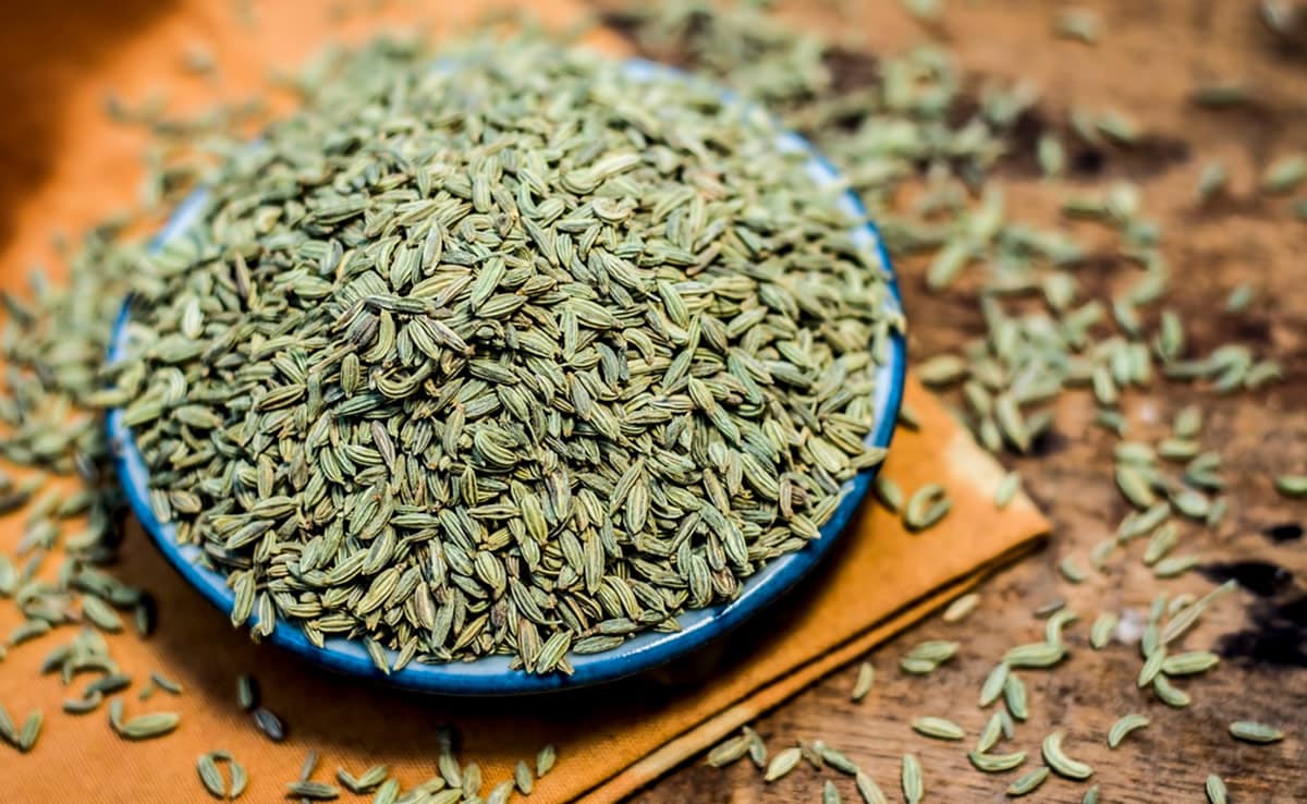 Saunf Health Benefits: ये मसाला गर्मियों में भूख और एसिडिटी को दूर करें, जानिए कैसे सेवन करें