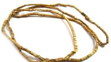 Tulsi Mala Ke Niyam: तुलसी माला कब और कैसे पहनें? जानें नियम और आध्यात्मिक फायदे