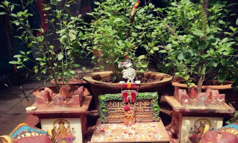 Vaishakh Month 2025 Tulsi: वैशाख में तुलसी से भगवान विष्णु की पूजा करने से घर-परिवार में सुख-समृद्धि बनी रहेगी 1 Vaishakh Month 2025 Tulsi: वैशाख में तुलसी से भगवान विष्णु की पूजा करने से घर-परिवार में सुख-समृद्धि बनी रहेगी