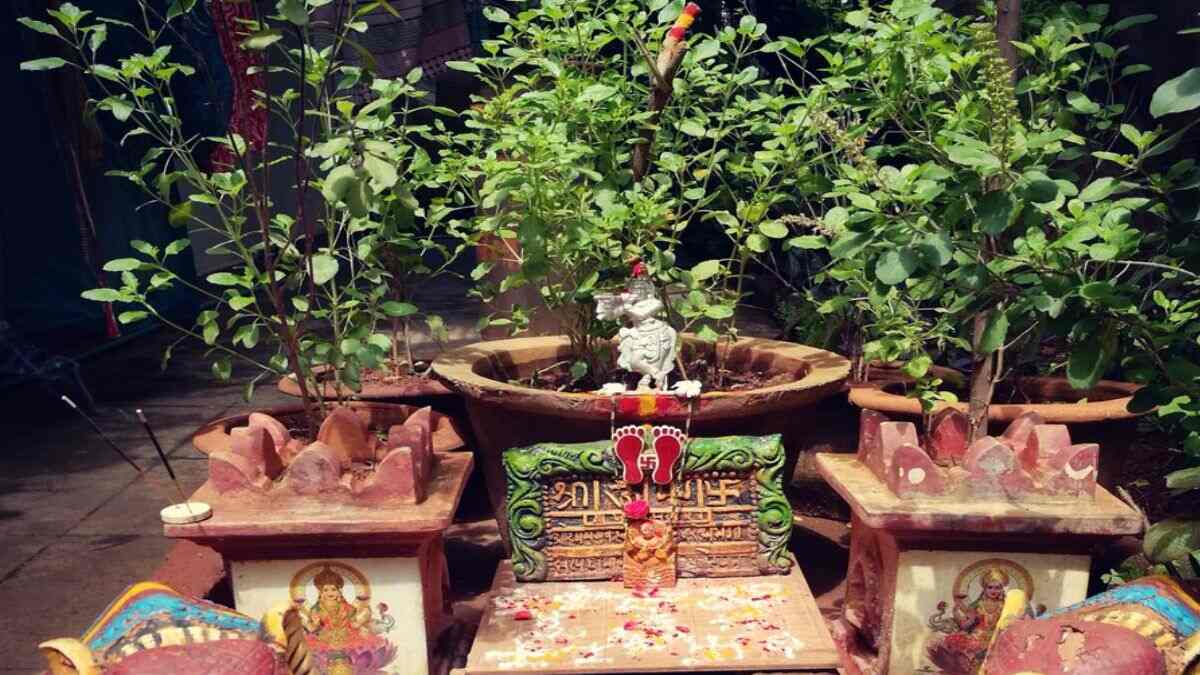 Vaishakh Month 2025 Tulsi: वैशाख में तुलसी से भगवान विष्णु की पूजा करने से घर-परिवार में सुख-समृद्धि बनी रहेगी