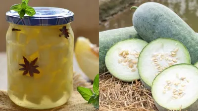 Ash Gourd juice Benefit: सफेद कद्दू का जूस पीने से कई गंभीर समस्याएं दूर होती हैं, जानें पीने का सही समय और तरीका? 1 Ash Gourd juice Benefit: सफेद कद्दू का जूस पीने से कई गंभीर समस्याएं दूर होती हैं, जानें पीने का सही समय और तरीका?