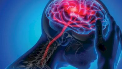 Brain Blockage Symptoms: शरीर में दिखाई देने वाले इन लक्षणों से सावधान रहें, क्योंकि दिमाग की नसों में ब्लॉकेज हो सकता है