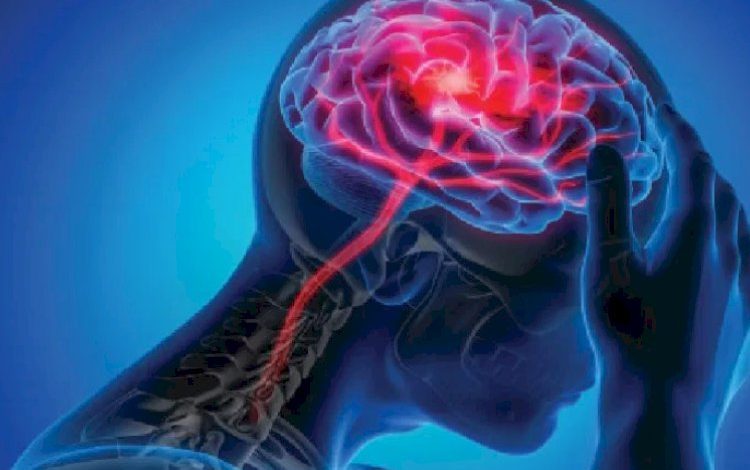 Brain Blockage Symptoms: शरीर में दिखाई देने वाले इन लक्षणों से सावधान रहें, क्योंकि दिमाग की नसों में ब्लॉकेज हो सकता है