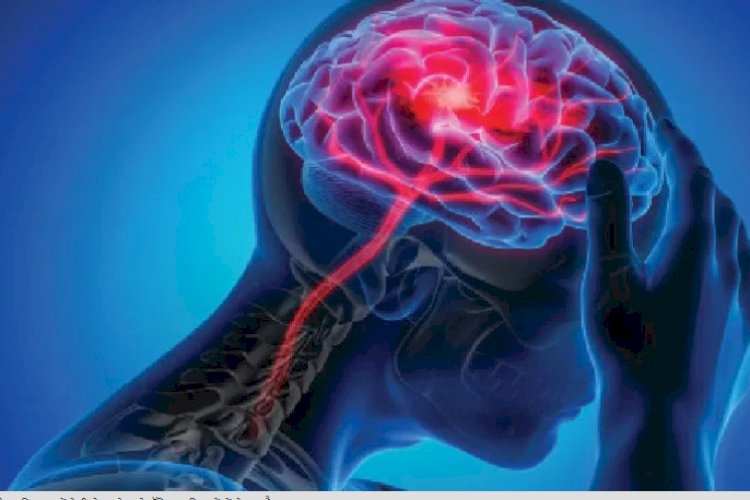 Brain Blockage Symptoms: शरीर में दिखाई देने वाले इन लक्षणों से सावधान रहें, क्योंकि दिमाग की नसों में ब्लॉकेज हो सकता है