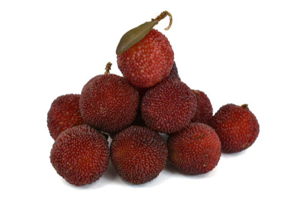 Kafal Fruit Benefits: आपने खाया है ये जंगली "काफल", जो पेट के लिए अच्छे हैं और जोड़ों के दर्द सहित इन बीमारियों में लाभदायक हैं?