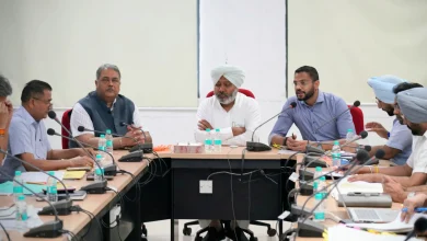Harpal Singh Cheema: आप सरकार अवैध शराब पर जीरो टॉलरेंस नीति अपनाती है