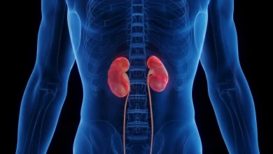Ayurveda For Stones: पथरी से दिल-दिमाग की टेंशन बढ़ सकती है, स्टोन जड़ से खत्म
