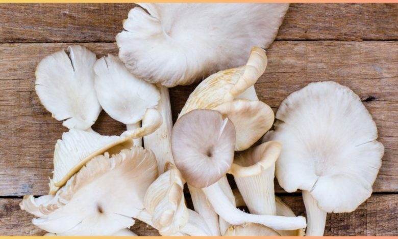 Uric Acid से पीड़ित होने पर मशरूम खाना चाहिए या नहीं? क्या इस कंडीशन में यह सब्जी फायदेमंद है या नुकसानदायक जानें?