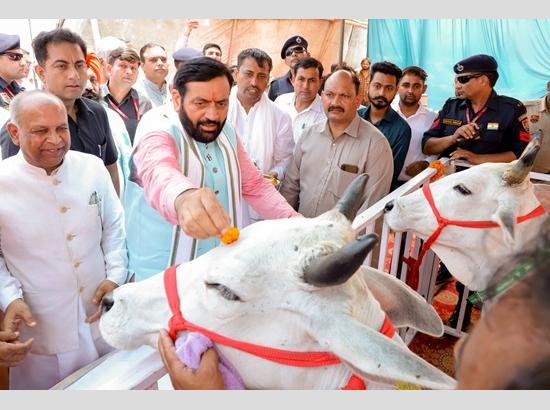 सरकार ने गौ-संवर्धन योजना लागू की; CM Nayab Saini ने कहा कि यमुनानगर में पहला संयंत्र लगाया जाएगा