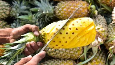 Pineapple Health Benefits: किस शरीर के लिए अननानास लाभकारी है? ये फल सेहत को चौतरफा फायदे पहुंचाएगा