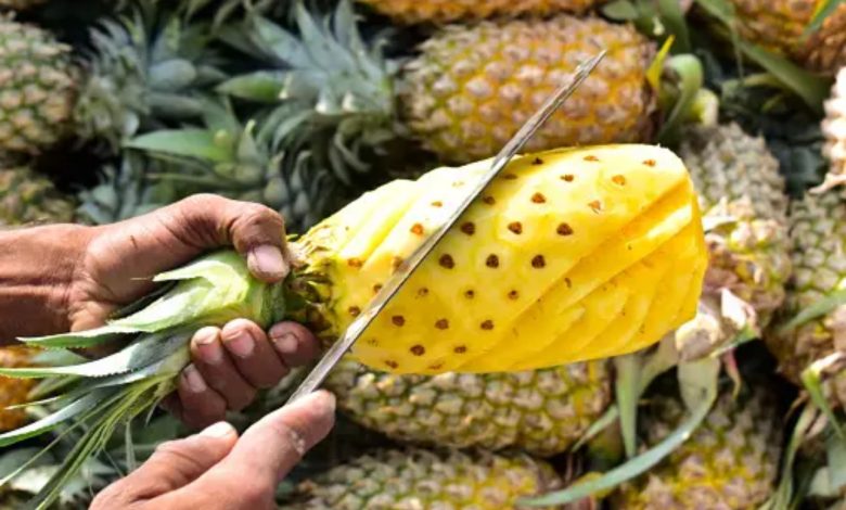 Pineapple Health Benefits: किस शरीर के लिए अननानास लाभकारी है? ये फल सेहत को चौतरफा फायदे पहुंचाएगा 1 Pineapple Health Benefits: किस शरीर के लिए अननानास लाभकारी है? ये फल सेहत को चौतरफा फायदे पहुंचाएगा