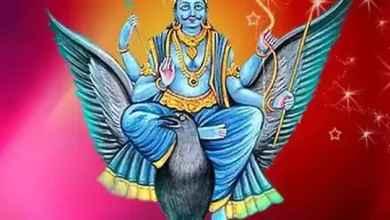 Shani Jayanti: शनि जयंती पर इन चार में से कोई एक चीज घर लाएं; किस्मत साथ देने लगेगी और ग्रह दोष दूर हो जाएंगे