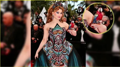 Cannes Film Festival 2025: उर्वशी कान्स में अतरंगी लुक में पहुंची, क्रिस्टल वाले तोते बैग ने ध्यान खींचा, जानें इसकी कीमत
