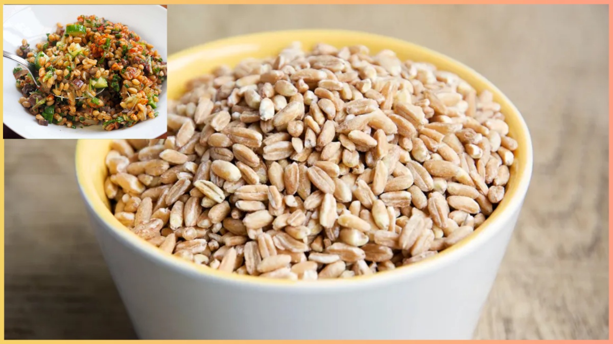 Boiled Wheat Benefits: गेंहू का सही सेवन करने से शरीर में जमा बैड कोलेस्ट्रॉल होगा कंट्रोल, और ये समस्याएं दूर होंगी जानें