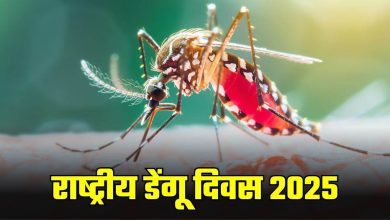 National Dengue Day: कितने दिन तक डेंगू में बुखार रहता है? शरीर का इस भाग सबसे अधिक प्रभावित होता है