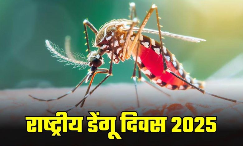 National Dengue Day: कितने दिन तक डेंगू में बुखार रहता है? शरीर का इस भाग सबसे अधिक प्रभावित होता है 1 National Dengue Day: कितने दिन तक डेंगू में बुखार रहता है? शरीर का इस भाग सबसे अधिक प्रभावित होता है