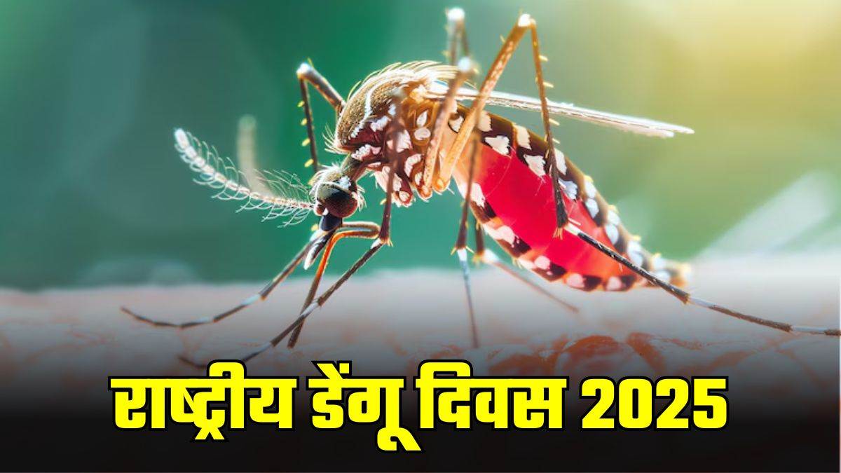 National Dengue Day: कितने दिन तक डेंगू में बुखार रहता है? शरीर का इस भाग सबसे अधिक प्रभावित होता है