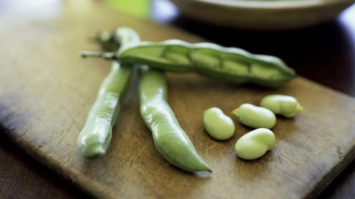 Fava Beans Health Benefits: पोषक तत्वों से भरपूर फावा बीन्स से आपको चार तरह से लाभ मिल सकते हैं