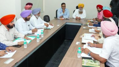 Gurmeet Singh Khudian: पंजाब में 1.25 लाख हेक्टेयर क्षेत्र में कपास की खेती का लक्ष्य