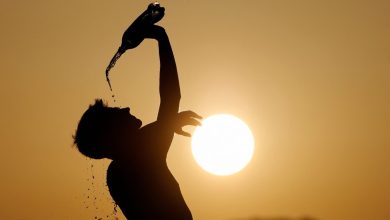Health News: लू का खतरा बढ़ा, धूप में निकलने से पहले ये चीजें खाएं