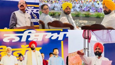 Punjab News: नशे के खिलाफ युद्ध मोड में पहुंची मान सरकार, मंत्रियों ने संभाली कमान