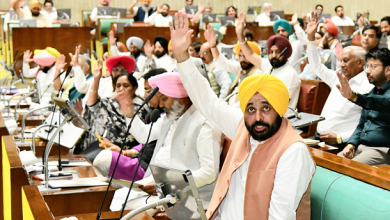 CM Bhagwant Mann: पंजाब नदियों के पानी का एकमात्र और सही मालिक है और हम इसे किसी के साथ साझा नहीं करेंगे