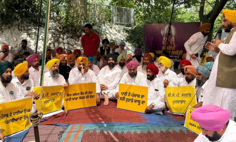 Punjab News: मंत्रियों ने पंजाब के जल अधिकारों के लिए निगरानी जारी रखने का संकल्प लिया