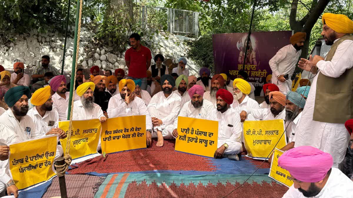 Punjab News: मंत्रियों ने पंजाब के जल अधिकारों के लिए निगरानी जारी रखने का संकल्प लिया