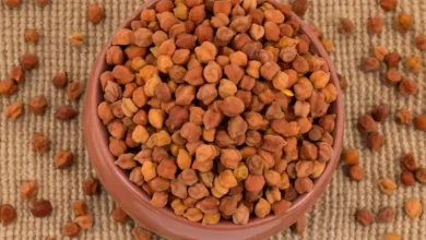 Chana For Uric Acid: क्या चना यूरिक एसिड में साथ खाया जा सकता है? यह प्रोटीन से भरपूर भोजन इस बीमारी में लाभदायक है या नुकसानदायक?