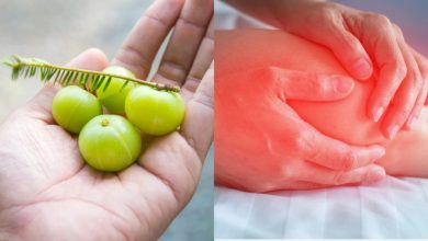 Amla For Uric Acid: यह सुपरफूड हड्डियों में जमे प्यूरिन के कणों को पिघला देगा; हाई यूरिक के मरीज इसका उपयोग कैसे करें