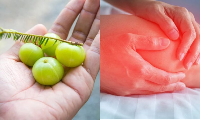 Amla For Uric Acid: यह सुपरफूड हड्डियों में जमे प्यूरिन के कणों को पिघला देगा; हाई यूरिक के मरीज इसका उपयोग कैसे करें 1 Amla For Uric Acid: यह सुपरफूड हड्डियों में जमे प्यूरिन के कणों को पिघला देगा; हाई यूरिक के मरीज इसका उपयोग कैसे करें
