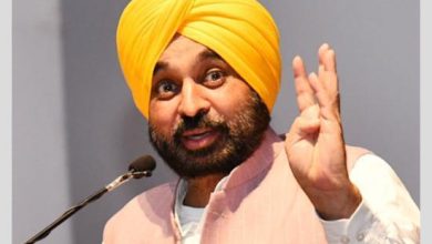 CM Bhagwant Mann: आजकल जो भी भाजपा का विरोध करता है उसे राष्ट्रविरोधी करार दे दिया जाता है