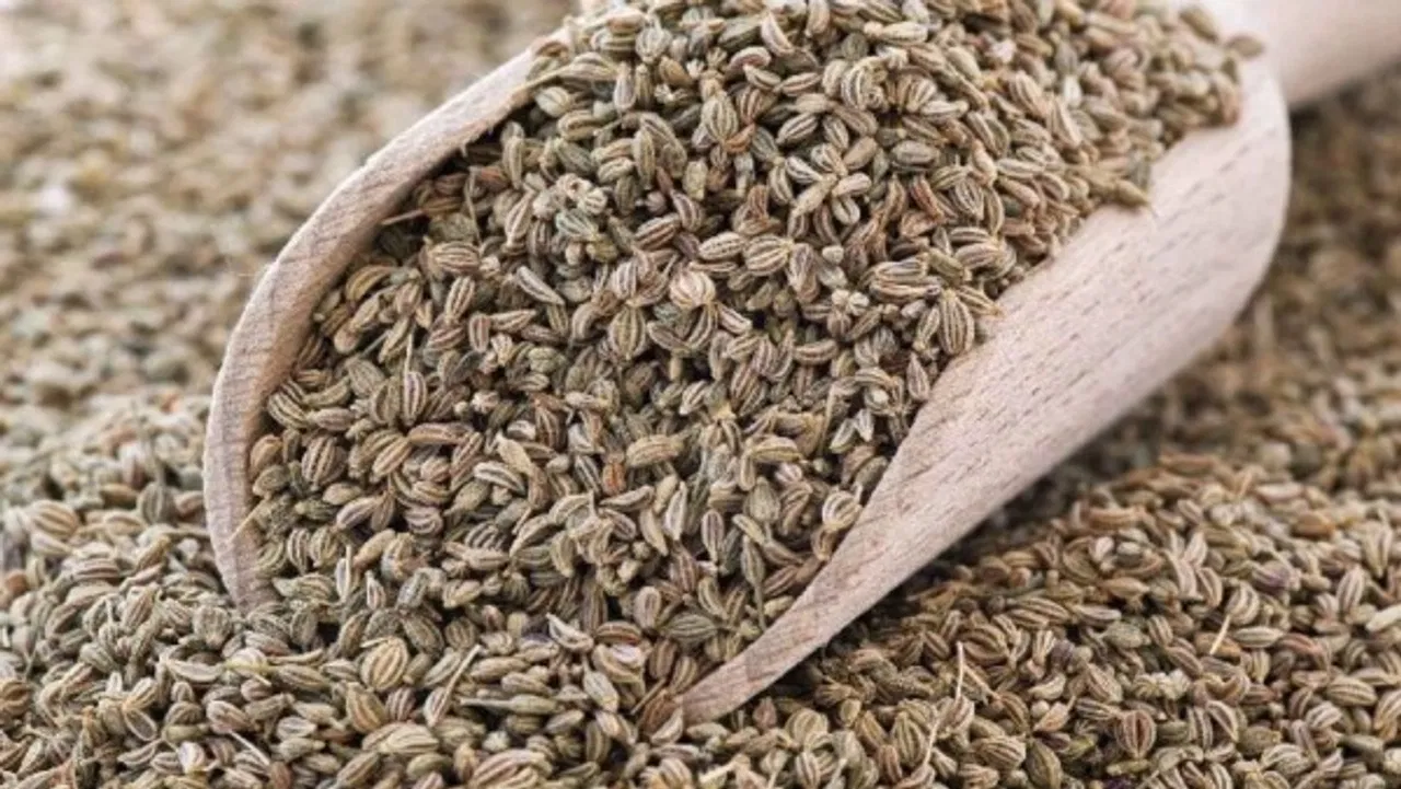 Celery Side Effects: वजन कम करने और फिटनेस के लिए अजवाइन को ज्यादा नहीं खाना चाहिए; इससे ये नुकसान हो सकते हैं