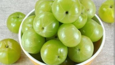 Amla Health Benefits: एक दिन में कितने आंवला खाने से कई सेहत समस्याएं दूर हो सकती हैं